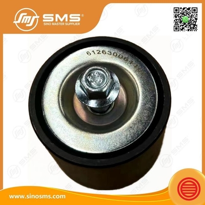 Flat Idler 612630061100 Weichai Peças do motor Cintura de tensão Cintura de rolos Idler Polia Idler de tensão Idler Flat Idler