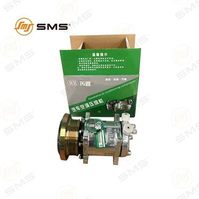 HOWO Peças de camião Conjunto de compressor de ar condicionado WG1500139006