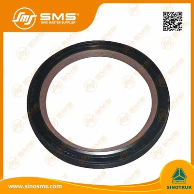 Peças VG1047010050 do caminhão de Sinotruk HOWO